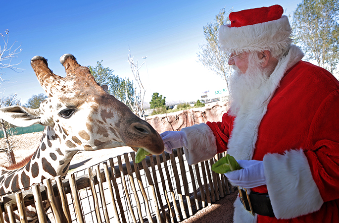 El Paso Zoo