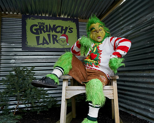 Photo of the grinch sitting on a chair.
